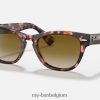 laramie glanzend roze havana/bruin XX46DZ1226 Heren Ray-Ban zonnebril