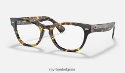 laramie optiek gepolijst geel havana XX46DZ2630 vrouwen Ray-Ban bril