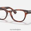 laramie optiek gepolijst gestreept havana XX46DZ2628 vrouwen Ray-Ban bril