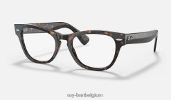 laramie optiek gepolijst havanna XX46DZ2631 vrouwen Ray-Ban bril