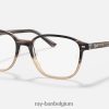 leonard optiek gepolijst bruin havana XX46DZ1826 Heren Ray-Ban bril