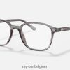 leonard optiek gepolijst gestreept grijs XX46DZ1824 Heren Ray-Ban bril