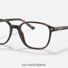 leonard optiek gepolijst havanna XX46DZ1822 Heren Ray-Ban bril
