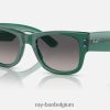 mega wayfarer gelimiteerd gepolijst transparant groen/grijs XX46DZ493 Heren Ray-Ban zonnebril