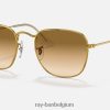 openhartig gepolijst goud/lichtbruin XX46DZ473 Heren Ray-Ban zonnebril