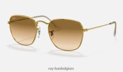 openhartig gepolijst goud/lichtbruin XX46DZ473 Heren Ray-Ban zonnebril
