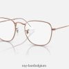 openhartige optiek gepolijst roségoud XX46DZ1758 Heren Ray-Ban bril