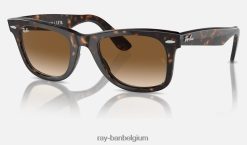 originele wayfarer-klassieker glanzend schildpad/lichtbruin XX46DZ15 Heren Ray-Ban zonnebril