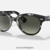 Orion gepolijst grijs havana/grijs XX46DZ1242 Heren Ray-Ban zonnebril