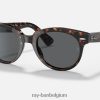 Orion gepolijst tortoise/donkergrijs XX46DZ1244 Heren Ray-Ban zonnebril