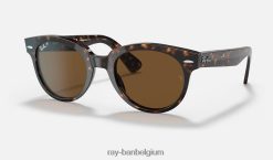 Orion glanzend schildpad/bruin XX46DZ1243 Heren Ray-Ban zonnebril