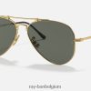 piloten titaan mat goud/groen XX46DZ876 Heren Ray-Ban zonnebril
