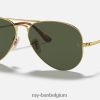 pilotenmetaal ii gepolijst goud/groen XX46DZ702 Heren Ray-Ban zonnebril