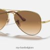 pilotenmetaal ii gepolijst goud/lichtbruin XX46DZ705 Heren Ray-Ban zonnebril