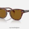 rb0707s gepolijst gestreept havana/bruin XX46DZ405 Heren Ray-Ban zonnebril