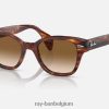 rb0880s gepolijst gestreept havana/bruin XX46DZ453 Heren Ray-Ban zonnebril