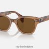 rb0880s gepolijst transparant bruin/bruin XX46DZ455 Heren Ray-Ban zonnebril