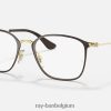 rb1056 optiek gepolijst bruin XX46DZ2835 kinderen Ray-Ban bril