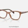 rb1591 optiek gepolijst transparant bruin XX46DZ2702 kinderen Ray-Ban bril