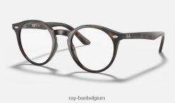 rb1594 optiek gepolijst havanna XX46DZ2653 kinderen Ray-Ban bril