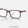 rb1621 optiek bio-gebaseerd gepolijst paars op lichtbruin XX46DZ2665 kinderen Ray-Ban bril