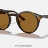 rb2180 gepolijst licht havanna/bruin XX46DZ79 Heren Ray-Ban zonnebril