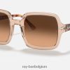 rb2188 gepolijst transparant bruin/bruin XX46DZ1578 vrouwen Ray-Ban zonnebril