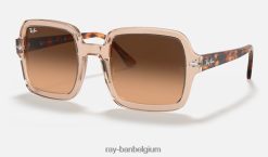 rb2188 gepolijst transparant bruin/bruin XX46DZ1578 vrouwen Ray-Ban zonnebril