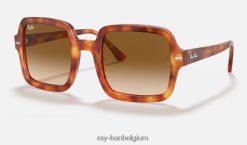 rb2188 glanzend rood havana/lichtbruin XX46DZ1576 vrouwen Ray-Ban zonnebril