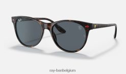 rb2202m scuderia ferrari-collectie gepolijst havana/blauw/grijs XX46DZ1354 Heren Ray-Ban zonnebril
