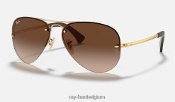 rb3449 gepolijst goud/bruin XX46DZ681 Heren Ray-Ban zonnebril