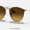 rb3546 gepolijst bruin op goud/bruin XX46DZ652 Heren Ray-Ban zonnebril