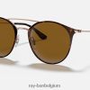 rb3546 gepolijst havana/bruin XX46DZ651 Heren Ray-Ban zonnebril