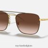 rb3588 gepolijst bruin op goud/bruin XX46DZ419 Heren Ray-Ban zonnebril
