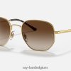 rb3682 gepolijst goud/bruin XX46DZ509 Heren Ray-Ban zonnebril
