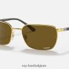 rb3684ch chromantie gepolijst goud/bruin XX46DZ1318 Heren Ray-Ban zonnebril