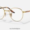 rb3691 optiek gepolijst goud XX46DZ1993 Heren Ray-Ban bril