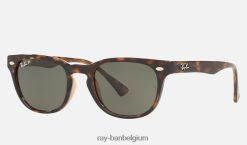 rb4140 glanzend licht havanna/groen XX46DZ1571 vrouwen Ray-Ban zonnebril