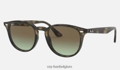 rb4259 gepolijst grijs havana/bruin XX46DZ928 Heren Ray-Ban zonnebril