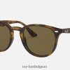 rb4259 gepolijst licht havana/donkerbruin XX46DZ931 Heren Ray-Ban zonnebril