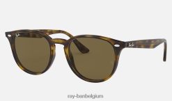 rb4259 gepolijst licht havana/donkerbruin XX46DZ931 Heren Ray-Ban zonnebril
