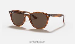 rb4305 glanzend gestreept rood havana/donkerbruin XX46DZ985 Heren Ray-Ban zonnebril
