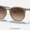 rb4306 gepolijst beige/bruin XX46DZ643 Heren Ray-Ban zonnebril