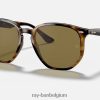 rb4306 gepolijst licht havana/donkerbruin XX46DZ645 Heren Ray-Ban zonnebril