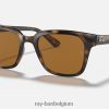 rb4323 gepolijst licht havanna/bruin XX46DZ843 Heren Ray-Ban zonnebril