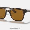 rb4323 gepolijst licht havanna/bruin XX46DZ845 Heren Ray-Ban zonnebril