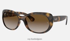 rb4325 gepolijst licht havanna/bruin XX46DZ1574 vrouwen Ray-Ban zonnebril