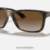 rb4331 gepolijst licht havanna/bruin XX46DZ897 Heren Ray-Ban zonnebril