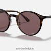 rb4336ch chromantie glanzend licht havana/violet XX46DZ1028 Heren Ray-Ban zonnebril