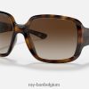 rb4347 gepolijst havana/bruin XX46DZ937 Heren Ray-Ban zonnebril